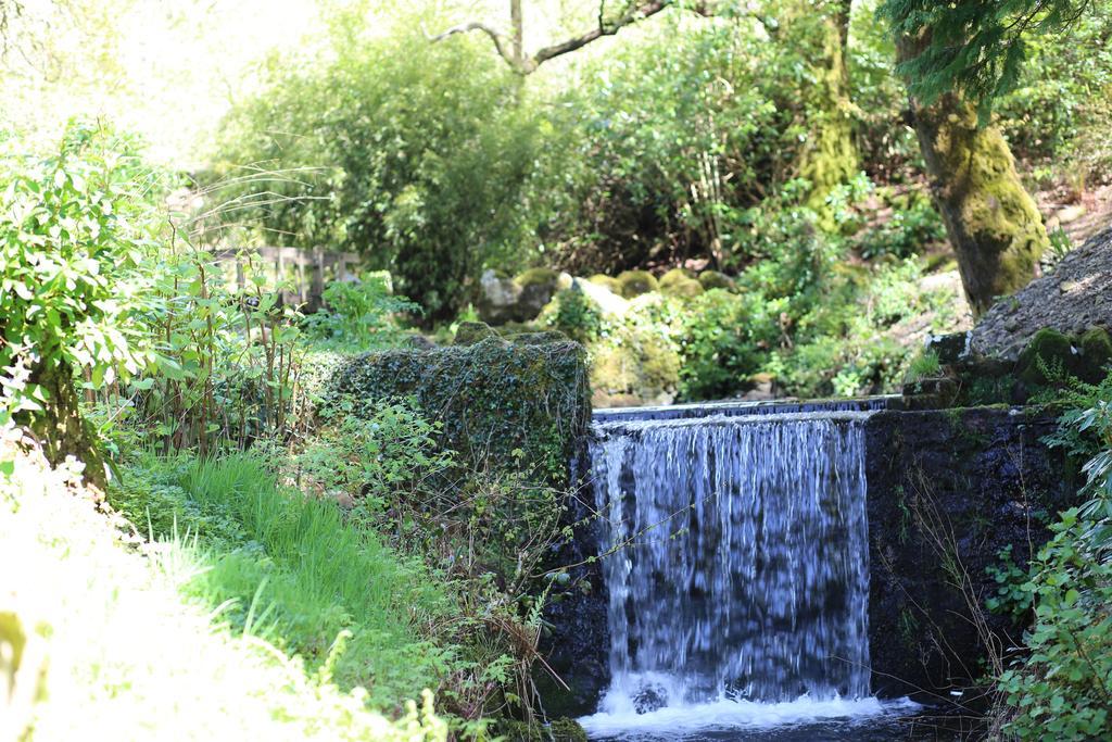 Hotel Afon Rhaiadr Country House Dolgellau Zewnętrze zdjęcie