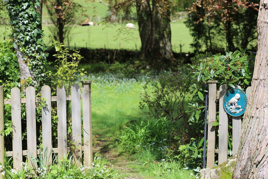 Hotel Afon Rhaiadr Country House Dolgellau Zewnętrze zdjęcie