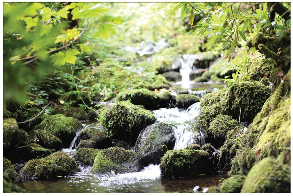 Hotel Afon Rhaiadr Country House Dolgellau Zewnętrze zdjęcie