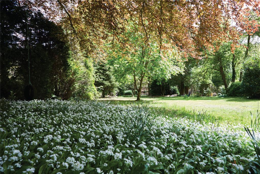 Hotel Afon Rhaiadr Country House Dolgellau Zewnętrze zdjęcie